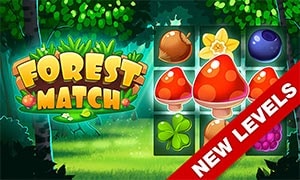 forest-match